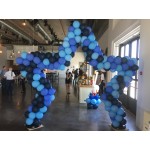Balloon Arch Balloon Arch