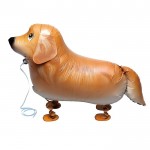 Mini Golden Retriever Walker