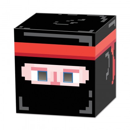 8-Bit Ninja Box Head