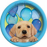 Happy Birthday Themes