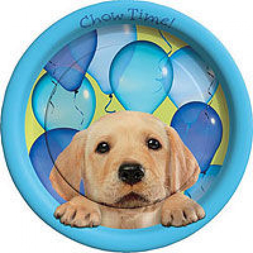 Happy Birthday Themes