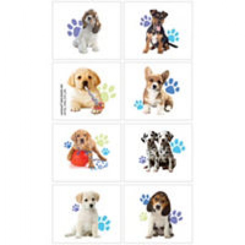 Happy Birthday Themes