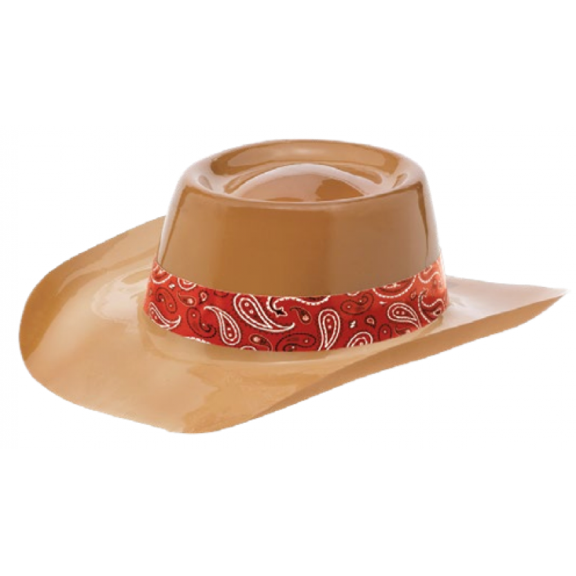 Bandana & Blue Jeans