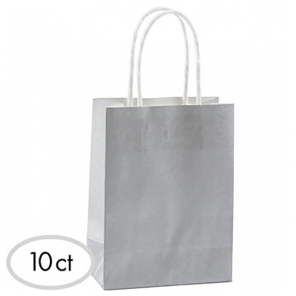 8 1/2"H x 5 1/4"W x 3 1/4"D Cub Bags Value Pack Silver