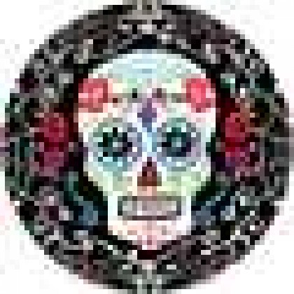 Day of The Dead 7" Round Plates