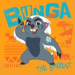 Birthday Party Supplies