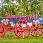 Birthday Party Supplies