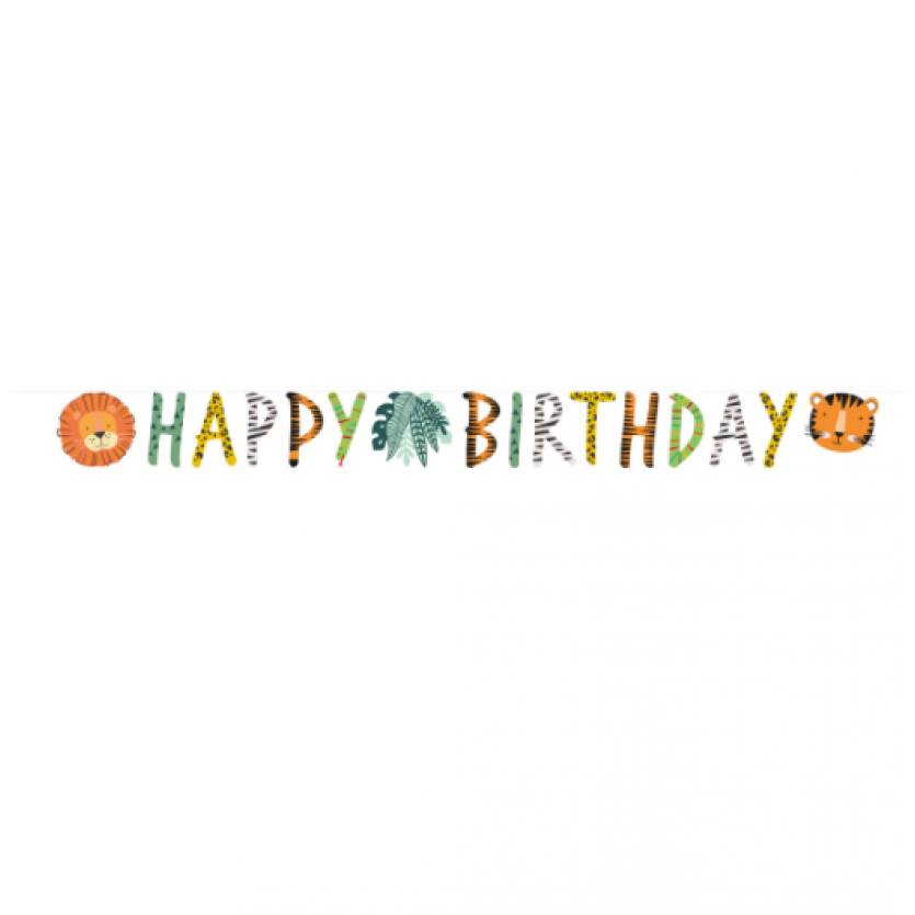 Birthday Party Supplies